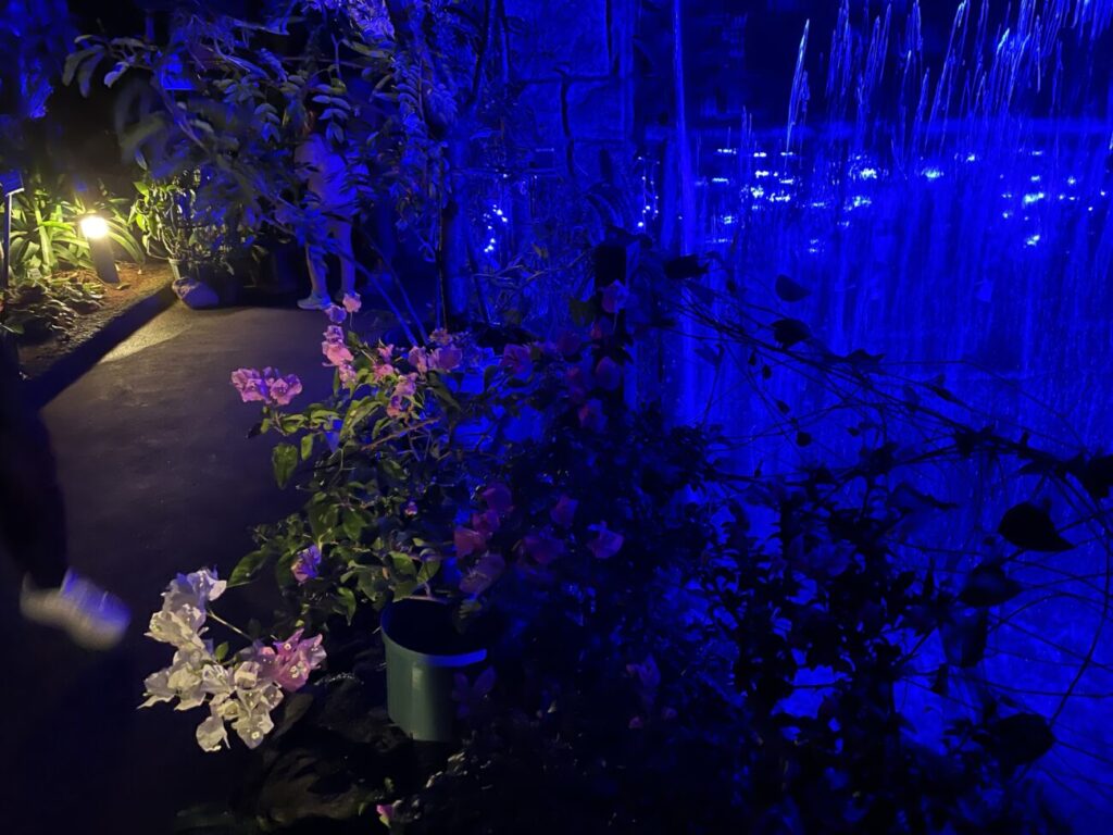 ときわ公園のナイトミュージアムのイルミネーション