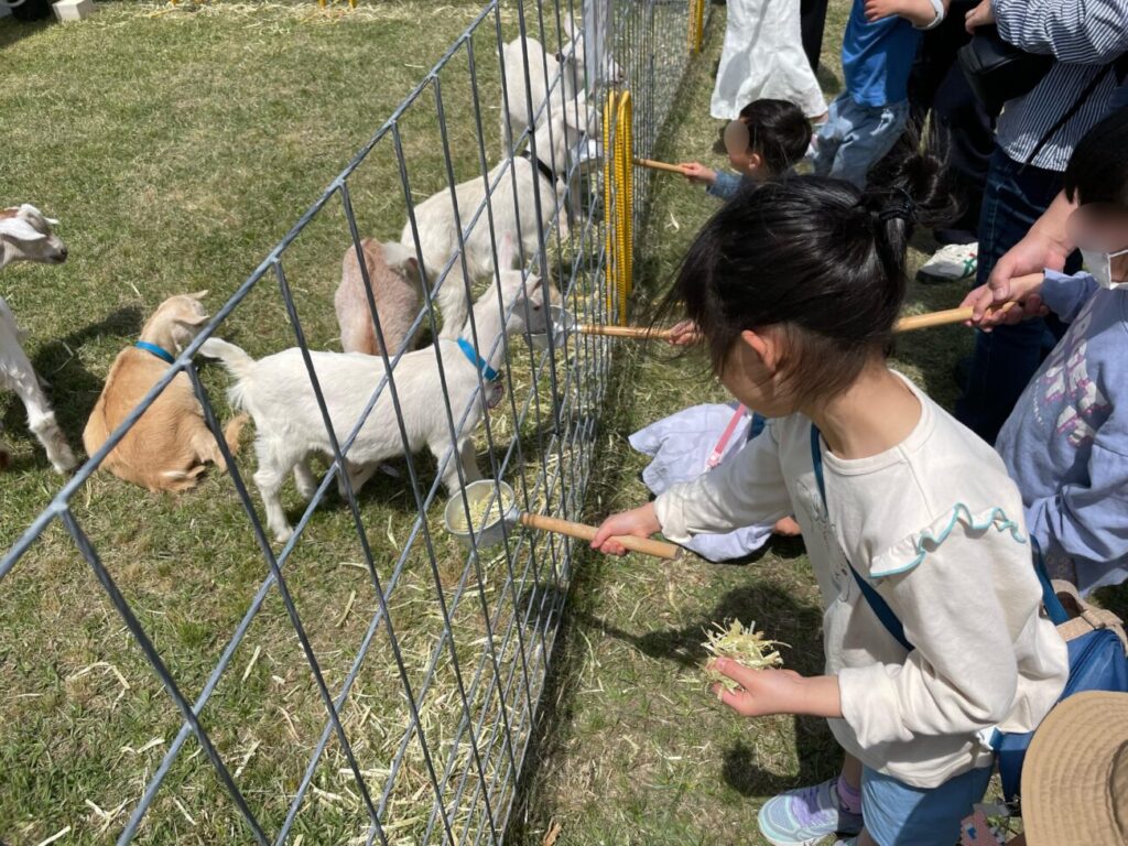 佐波川こいながしの河川敷で遊ぶ子供