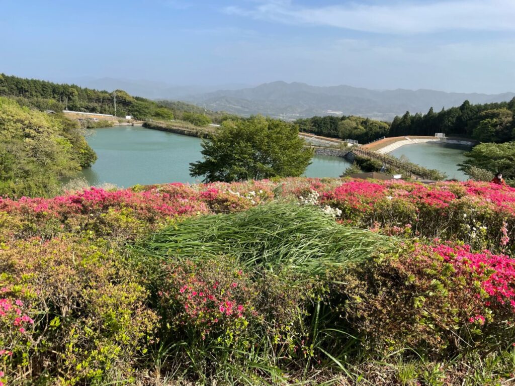 菅無田公園のみどりの丘からの眺望
