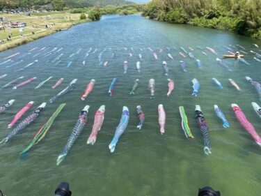 【佐波川こいながし】川の中を120匹もの鯉のぼりが泳ぐ絶景【山口県防府市】