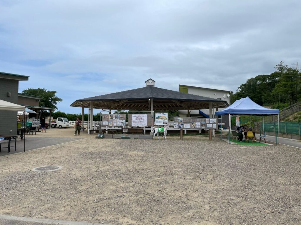 島根県益田市のさんさん牧場の馬場