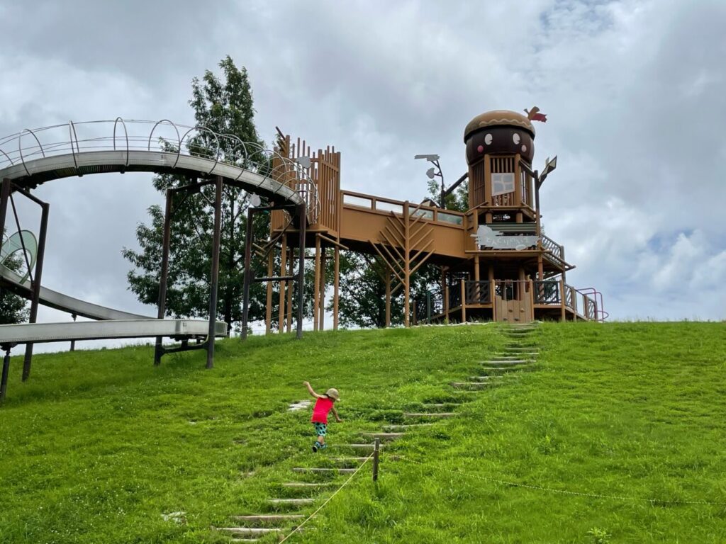 玖珂総合公園のどんぐりの複合遊具