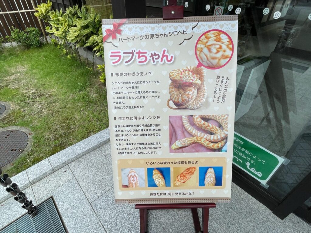岩国シロヘビの館のラブちゃんの看板