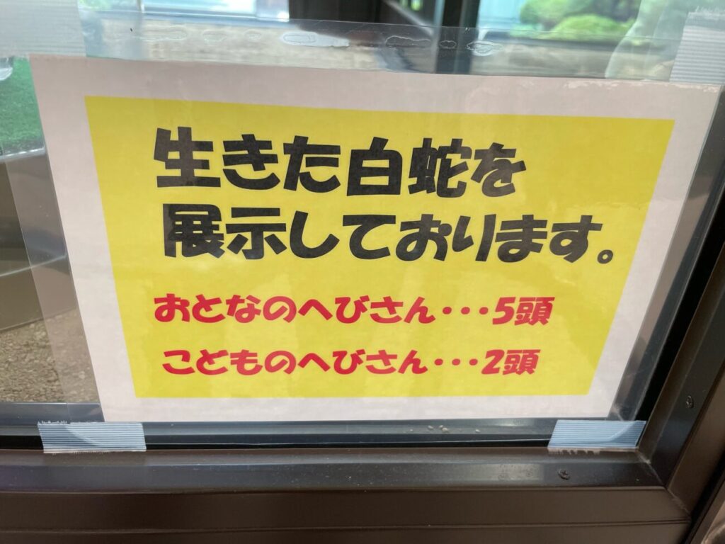 岩国シロヘビの館の中のシロヘビ生体の展示の注意書き