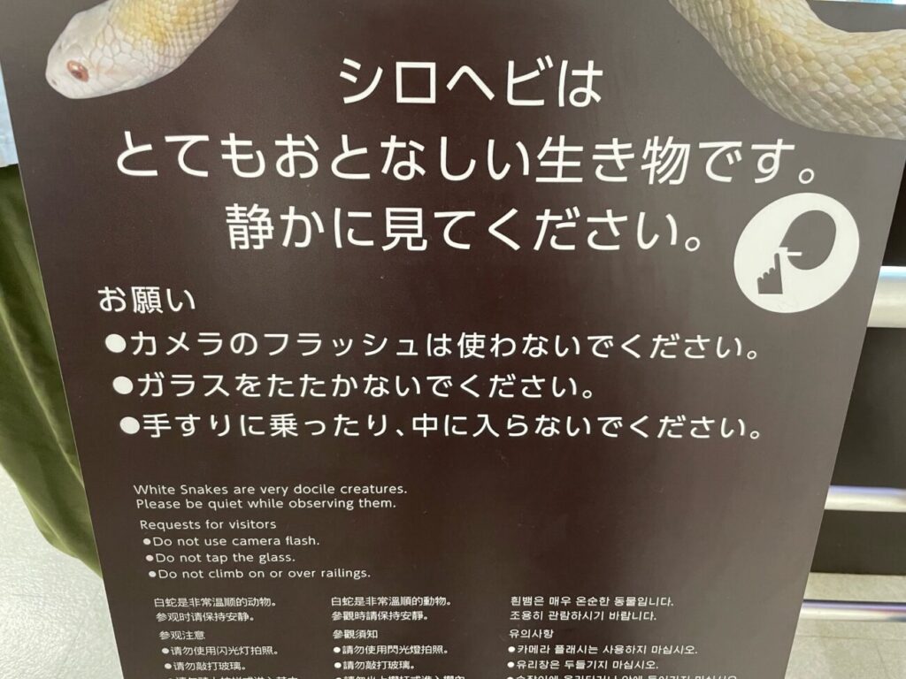 岩国シロヘビの館の中のシロヘビ生体の展示の注意書き