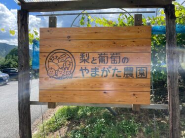 梨と葡萄のやまがた農園：葡萄と梨とブランコがある観光果樹園【山口県周南市】
