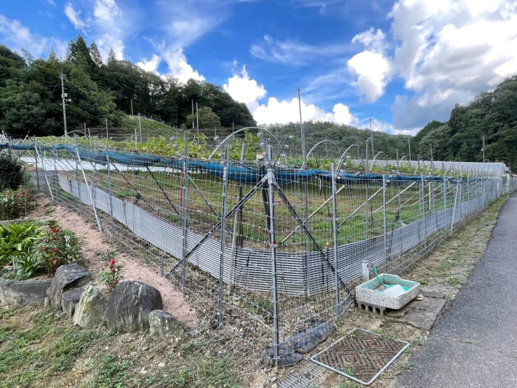 あゆみ農園