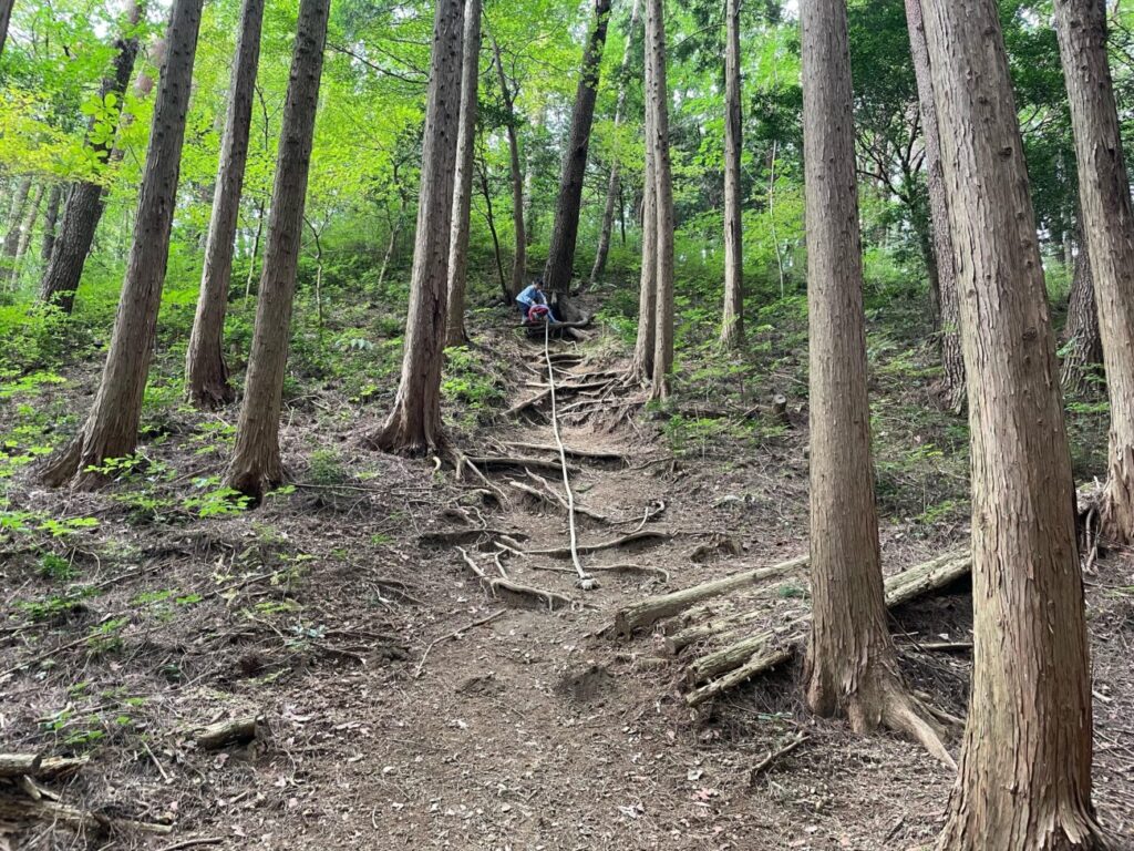 十種ヶ峰ウッドパークオートキャンプ場のターザンの森