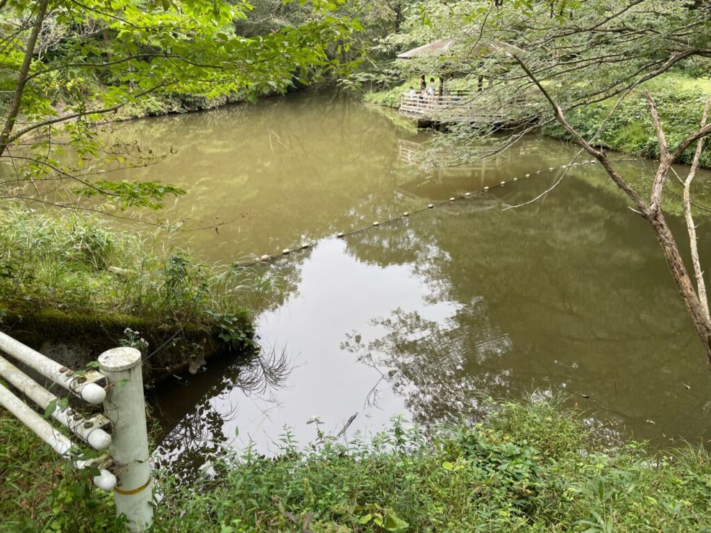 十種ヶ峰ウッドパークオートキャンプ場の池