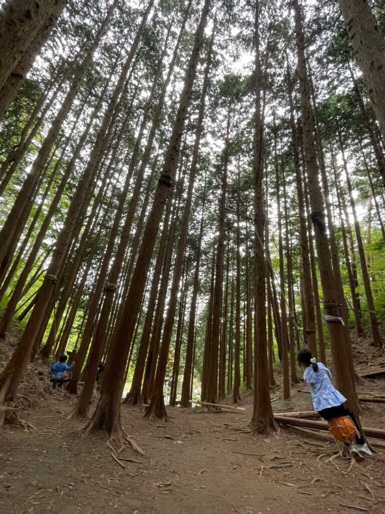 十種ヶ峰ウッドパークオートキャンプ場のターザンの森